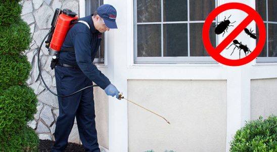 Karamanlı Dezenfeksiyon böcek ilaçlama ve haşere kontrolü — ilaclama-tr.com